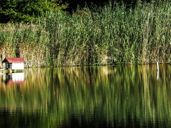 Teich in Muesen - (c) L Lammers.jpg